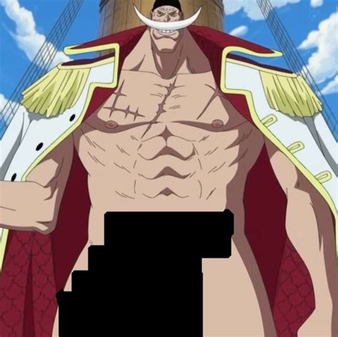 yo guys i know this is off topic but could you guys help me find a video pretty pls. it is a video of blackbeard slowly lifting a cloak then reveals that whitebeard is inside it, and you can see just a tiny piece of his C hiding beneath it. Gotta be the funniest video i've seen here and i sadly cant find it anymore.